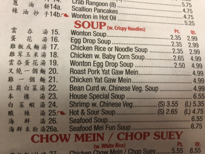 SOUP Image
