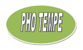 Pho Tempe logo