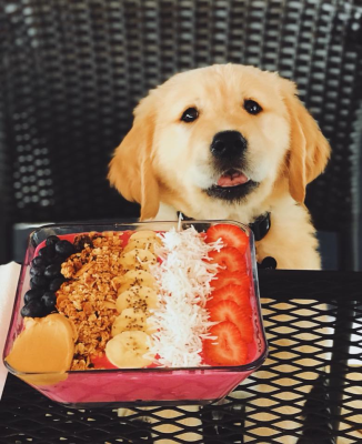 Acai Bowl Image