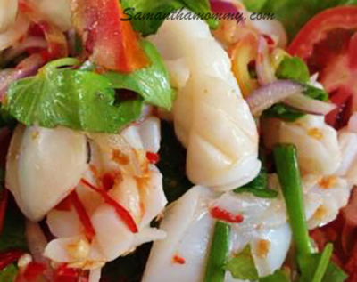 SA2. Squid Salad Image