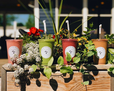 Smoothies & Bowls Image