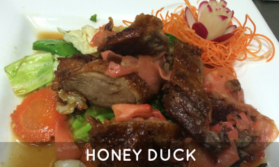 Honey Duck Image