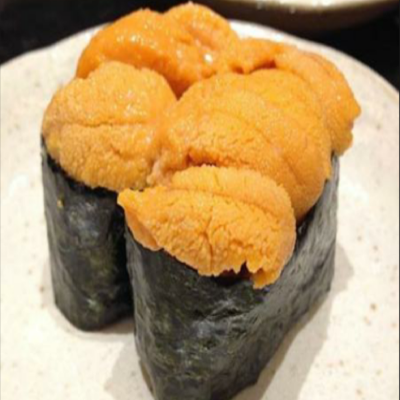 Sea Urchin Image