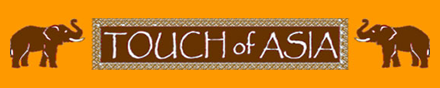 TOUCH OF ASIA logo