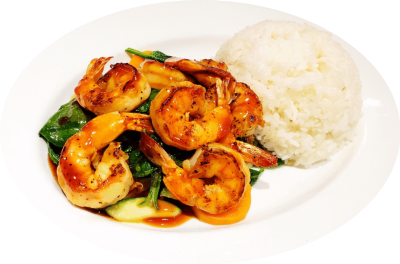 Teriyaki Entree Image