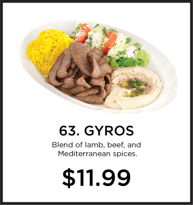63. Gyros Image