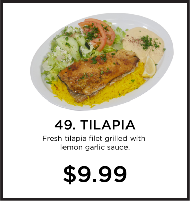 49. Tilapia Image