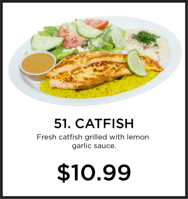 51. Catfish Image