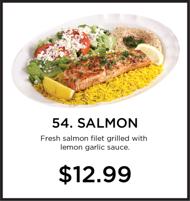 54. Salmon Image