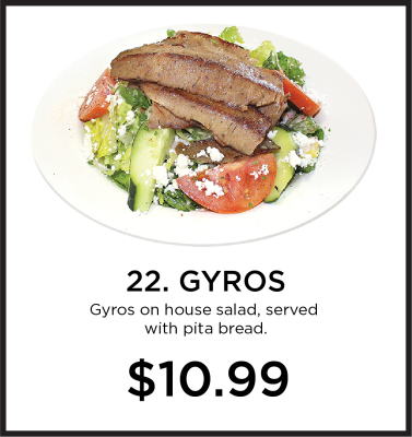 22. Gyros Image