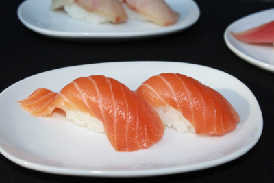 Salmon NG Image