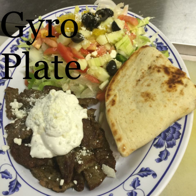 Gyro Plate Image