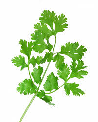 Gusto Image