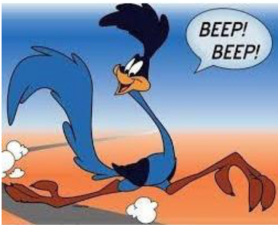 Road Runner Image