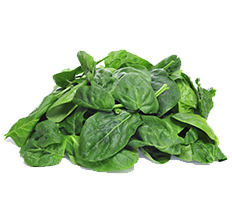 Green Aroma Image