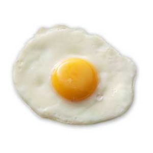 Single Egg Image